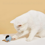 Jouet interactif intelligent pour chat